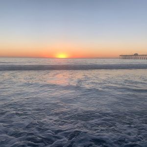 Meet your Posher, Monica